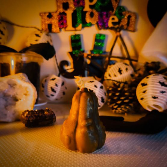 Velas de calabazas decorativas huerto alargada